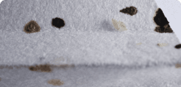 Blood stains on sheets, mattress and clothes