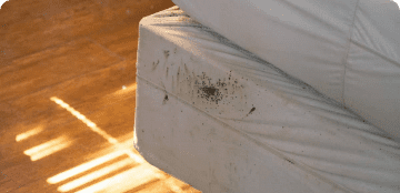 Black spots on mattresses and beds