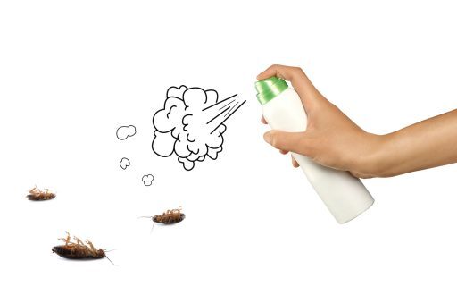 اقوى طريقة للقضاء على الصراصير