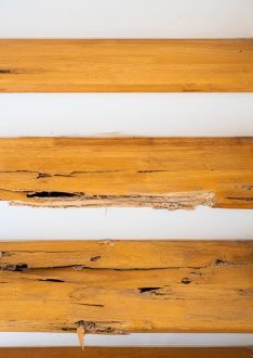 أضرار النمل الأبيض على الأرضيات الخشبية