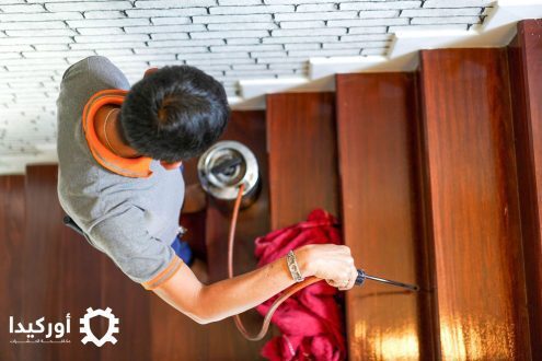 طرق مكافحة حشرة الأرضة