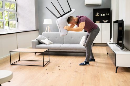 كيف اقضى على الحشرات في البيت