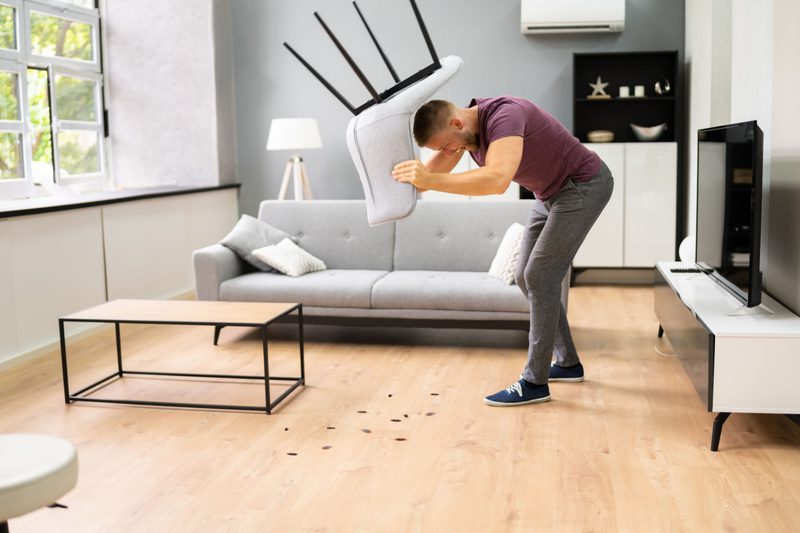 كيف اقضى على الحشرات في البيت