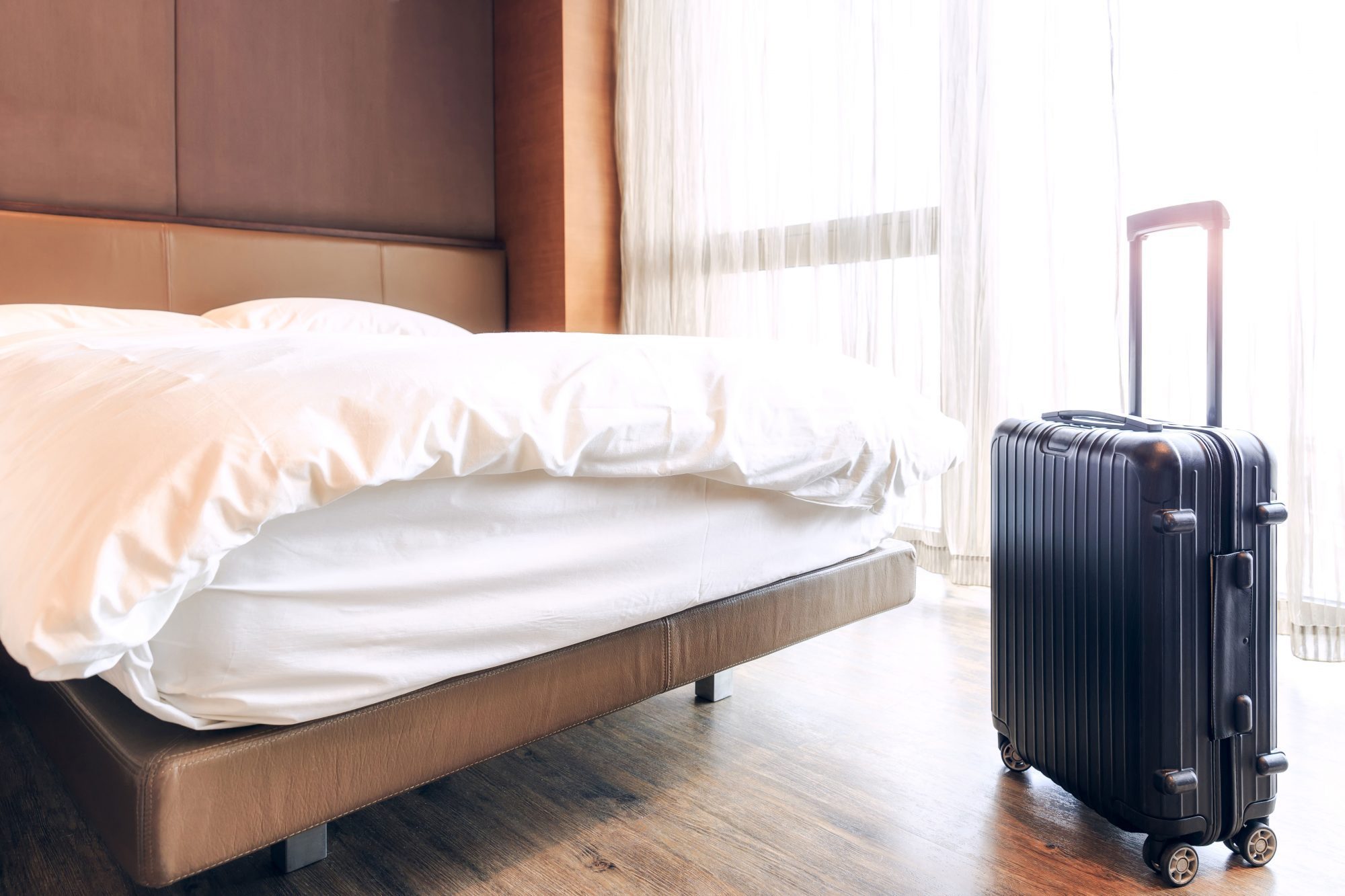 كيف يسافر بق الفراش