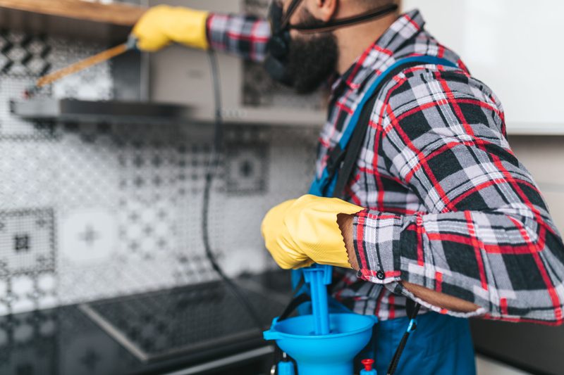 مكافحة الصراصير في البيت